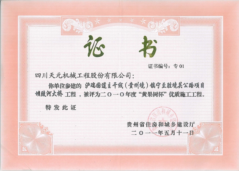 壩陵河大橋-“黃果樹杯”優(yōu)質施工工程.jpg